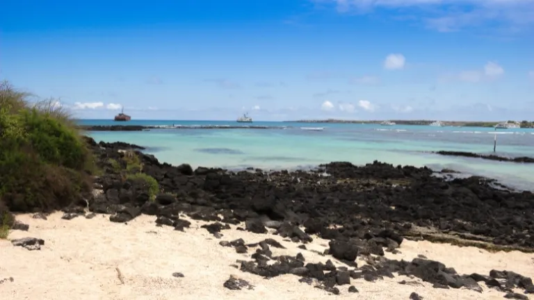 The natural landscapes of the Galapagos islands are incredible.
